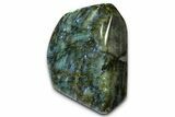 Flashy Free-Standing Polished Labradorite - Madagascar #372809-2